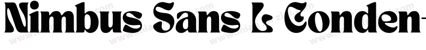 Nimbus Sans L Conden字体转换